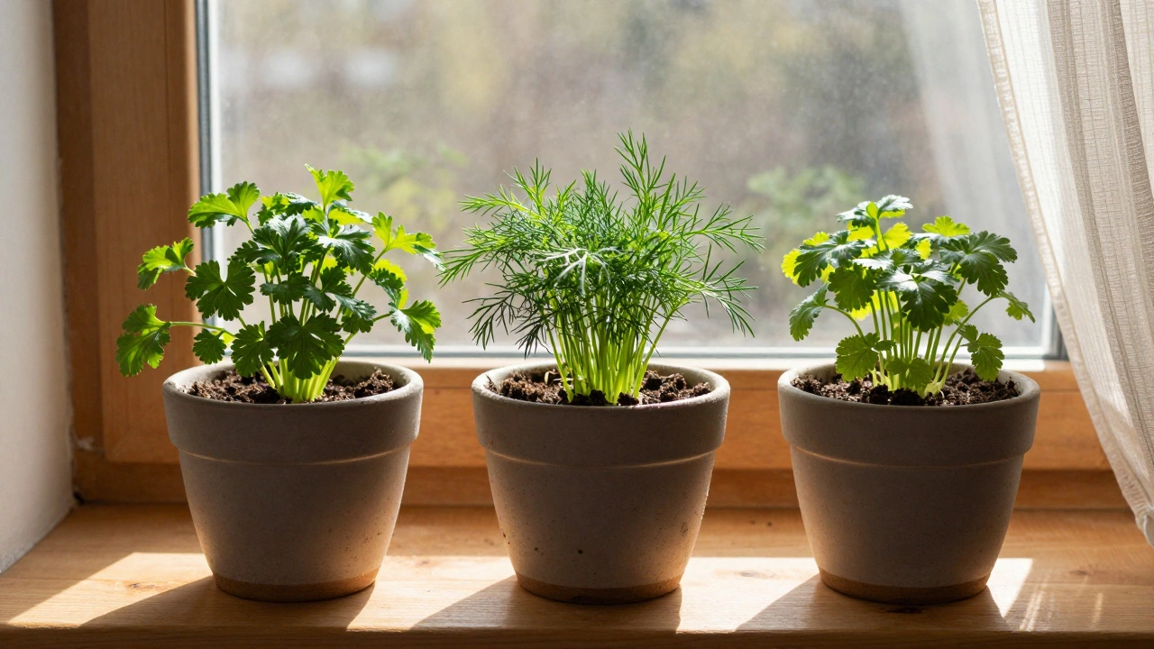 Что выгоднее всего выращивать из овощей дома: самые прибыльные и простые варианты